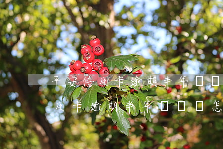 平安信用卡逾期半年沒錢還怎么辦-平安信用卡逾期半年沒錢還怎么辦呢