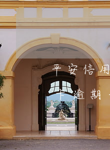 平安信用卡逾期半年立案了(平安銀行的信用卡逾期一天會有不良記錄嗎)