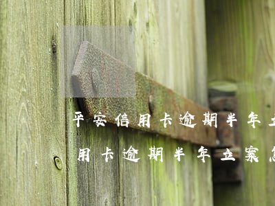 平安信用卡逾期半年立案怎么處理-平安信用卡逾期半年立案怎么處理的