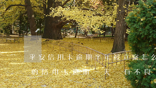 平安信用卡逾期半年被立案怎么辦(平安銀行的信用卡逾期一天會有不良記錄嗎)
