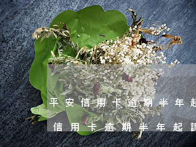 平安信用卡逾期半年,起訴會被判刑嗎-平安信用卡逾期半年,起訴會被判刑嗎