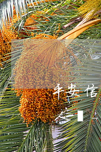 平安信用卡逾期半月會聯(lián)系家人嗎-平安信用卡逾期半月會聯(lián)系家人嗎怎么辦