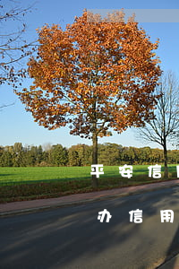 平安信用卡逾期协商不同意该找谁(平安银行办信用卡被拒)