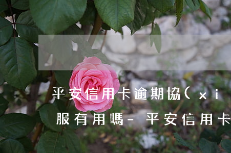 平安信用卡逾期協(xié)商打電話給客服有用嗎-平安信用卡逾期協(xié)商打電話給客服有用嗎