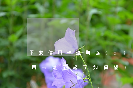 平安信用卡逾期協(xié)商解決(平安信用卡還不起了如何協(xié)商)