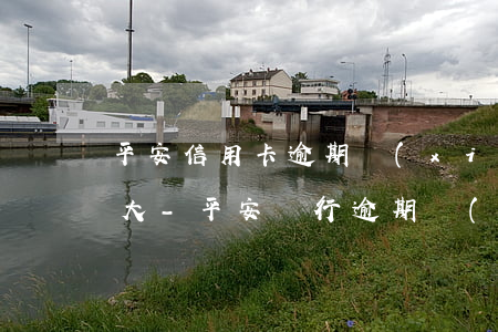 平安信用卡逾期協(xié)商還款案例光大-平安銀行逾期協(xié)商最多能分多少期還款