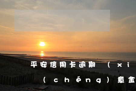 平安信用卡逾期協(xié)商還款要繳納誠(chéng)意金嗎?-平安信用卡逾期協(xié)商還款要繳納誠(chéng)意金嗎