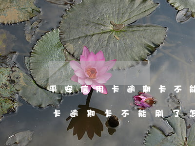 平安信用卡逾期卡不能刷了怎么辦(平安信用卡逾期卡不能刷了怎么辦呢)