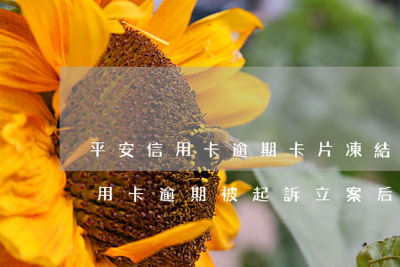 平安信用卡逾期卡片凍結(jié)(平安信用卡逾期被起訴立案后怎么解決)