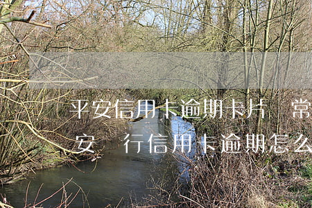 平安信用卡逾期卡片異常(中國(guó)平安銀行信用卡逾期怎么辦)