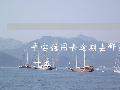 平安信用卡逾期去哪里立案(平安信用卡 逾期一天)