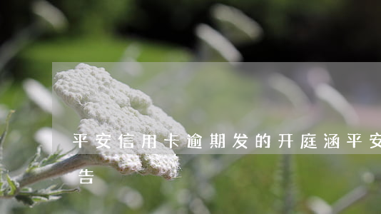 平安信用卡逾期发的开庭涵 平安银行开庭通告