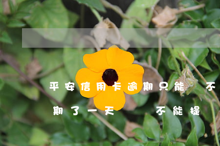平安信用卡逾期只能還不能取 平安貸貸卡逾期了一天,暫時不能提額了,怎么辦