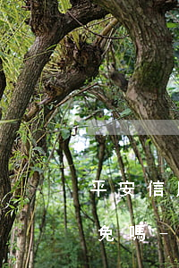 平安信用卡逾期可以協(xié)商本金減免嗎-平安信用卡逾期可以協(xié)商本金減免嗎