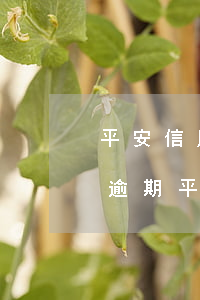 平安信用卡逾期可以去平安银行工作嘛-有逾期平安信用卡好办吗