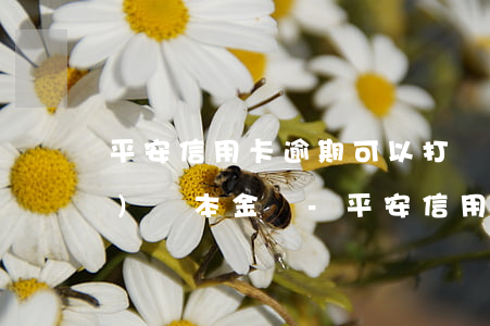平安信用卡逾期可以打電話申請(qǐng)還本金嗎?-平安信用卡逾期可以打電話申請(qǐng)還本金嗎