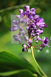 平安信用卡逾期可以申請多少次分期（平安信用卡逾期可以申請多少次）