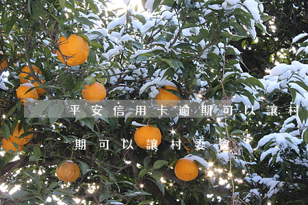 平安信用卡逾期可以讓村委會(平安信用卡逾期可以讓村委會)