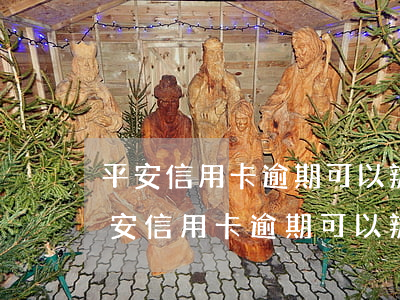 平安信用卡逾期可以辦理個性化分期嗎-平安信用卡逾期可以辦理個性化分期嗎安全嗎