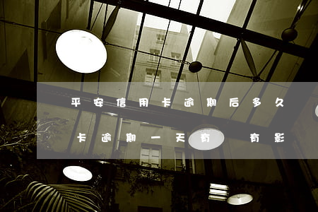 平安信用卡逾期后多久會起訴(平安銀行信用卡逾期一天有沒有影響?)