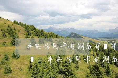 平安信用卡逾期后有對半結(jié)清的嗎-平安信用卡逾期后有對半結(jié)清的嗎怎么辦