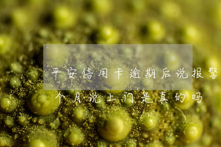 平安信用卡逾期后说报警(平安信用卡逾期两个月说上门是真的吗?)