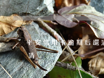 平安信用卡逾期后還清（平安信用卡逾期后還清）