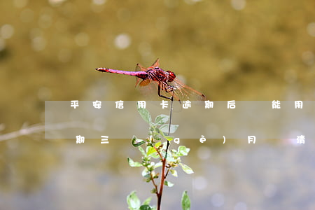 平安信用卡逾期后還能用(平安銀行信用卡逾期三個(gè)月還清后還能用嗎)