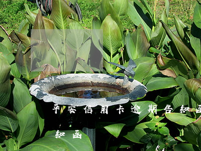 平安信用卡逾期告知函模板(平安银行诉讼告知函)