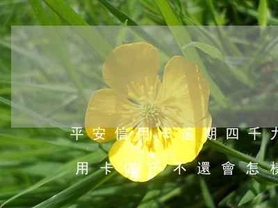 平安信用卡逾期四千九會立案嗎-欠平安信用卡四千不還會怎樣
