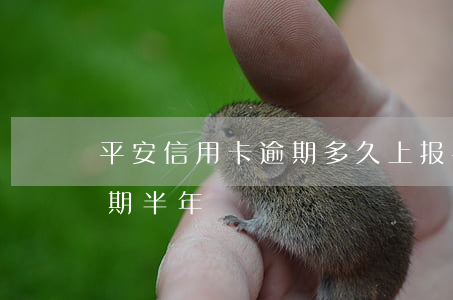 平安信用卡逾期多久上报(平安信用卡3千逾期半年)