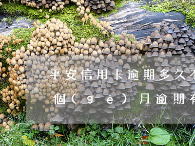 平安信用卡逾期多久不能分期(平安信用卡3個(gè)月逾期有什么后果是什么)