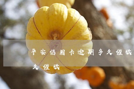 平安信用卡逾期多久催收(平安信用卡逾期多久催收)