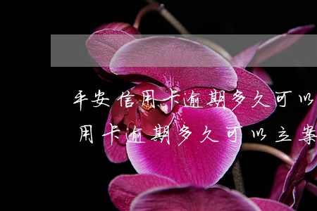 平安信用卡逾期多久可以立案起訴-平安信用卡逾期多久可以立案起訴對(duì)方