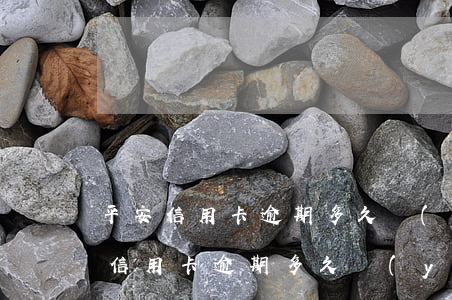 平安信用卡逾期多久嚴(yán)重-平安信用卡逾期多久嚴(yán)重起訴