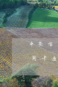 平安信用卡逾期多久會被民事訴訟-平安信用卡逾期多久會被民事訴訟起訴
