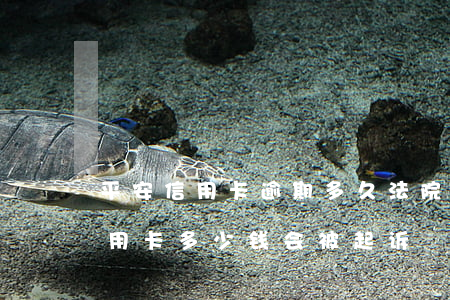 平安信用卡逾期多久法院会被起诉(欠平安信用卡多少钱会被起诉)