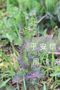 平安信用卡逾期多少天不收滞纳金-平安信用卡逾期多少天不收滞纳金了