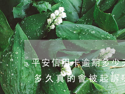 平安信用卡逾期多少天會起訴(平安銀行逾期多久真的會被起訴嗎?)