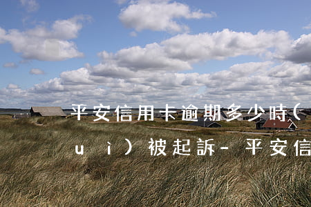 平安信用卡逾期多少時(shí)間會(huì)被起訴-平安信用卡逾期多少時(shí)間會(huì)被起訴呢