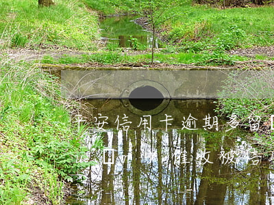 平安信用卡逾期多留會(huì)轉(zhuǎn)催收 被信用卡催收要24小時(shí)內(nèi)還清