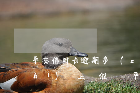 平安信用卡逾期多長(zhǎng)時(shí)間上門催繳-平安信用卡逾期多長(zhǎng)時(shí)間上門催繳電話
