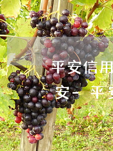 平安信用卡逾期多長時(shí)間起訴平安-平安信用卡 逾期