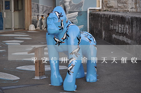 平安信用卡逾期天天催收(投訴平安催收)