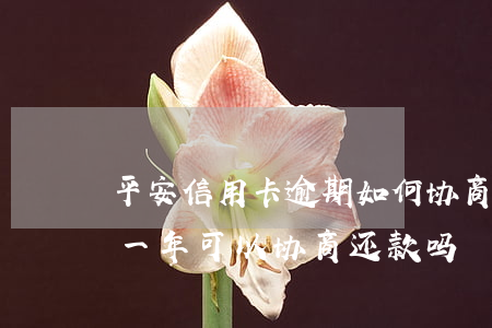 平安信用卡逾期如何协商还款(平安银行逾期一年,可以协商还款吗)