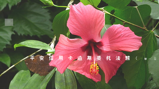 平安信用卡逾期委托法務(wù)部起訴