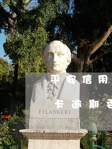 平安信用卡逾期委托第三方上門-平安信用卡逾期委托第三方上門會真的上門嗎