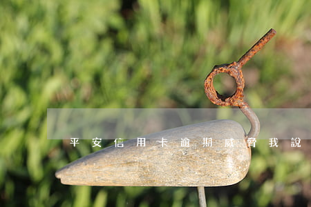 平安信用卡逾期威脅我說來貼