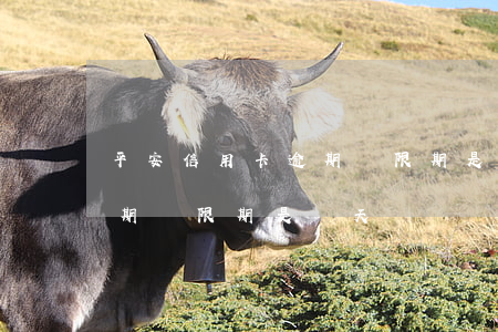 平安信用卡逾期寬限期是幾天 平安信用卡逾期寬限期是幾天時間
