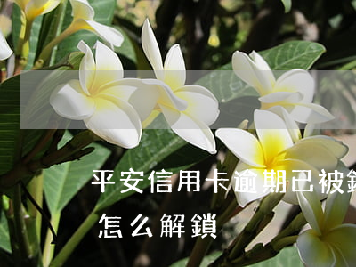 平安信用卡逾期已被鎖定(平安信用卡被鎖定怎么解鎖)